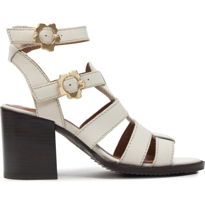 Sandály Ted Baker 260462 Ivory